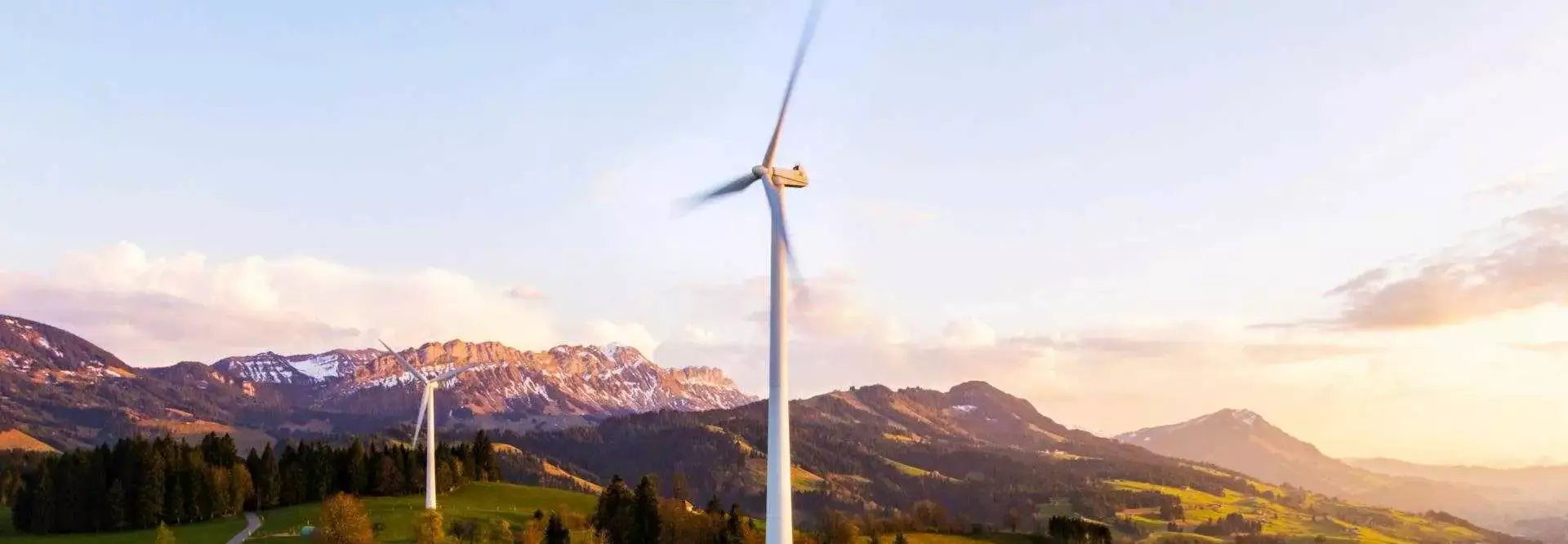Energia verde per aziende: pro e contro
