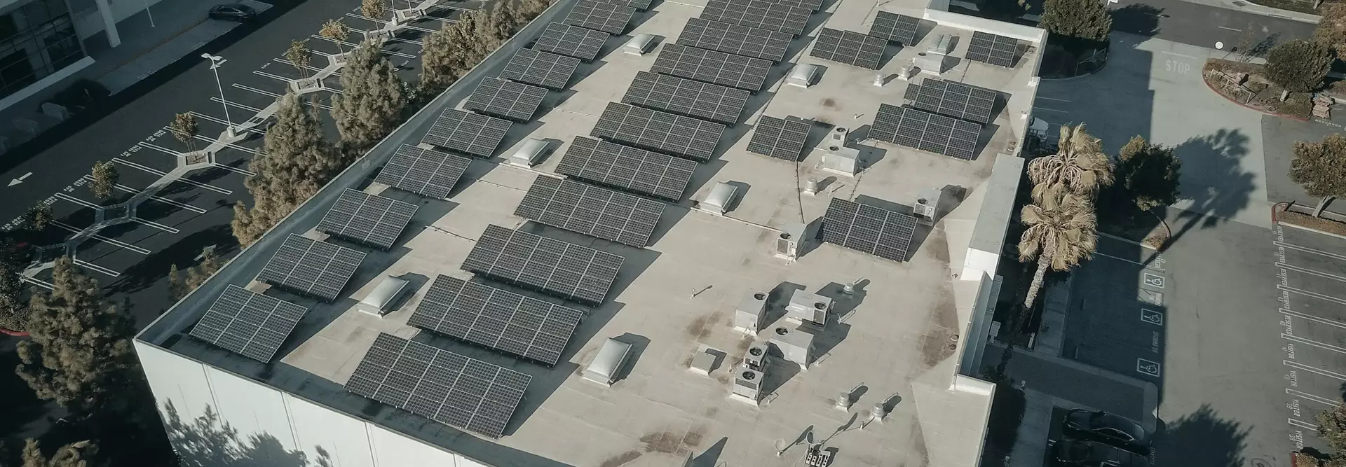 Bollette aziendali 2025: come tagliare i costi