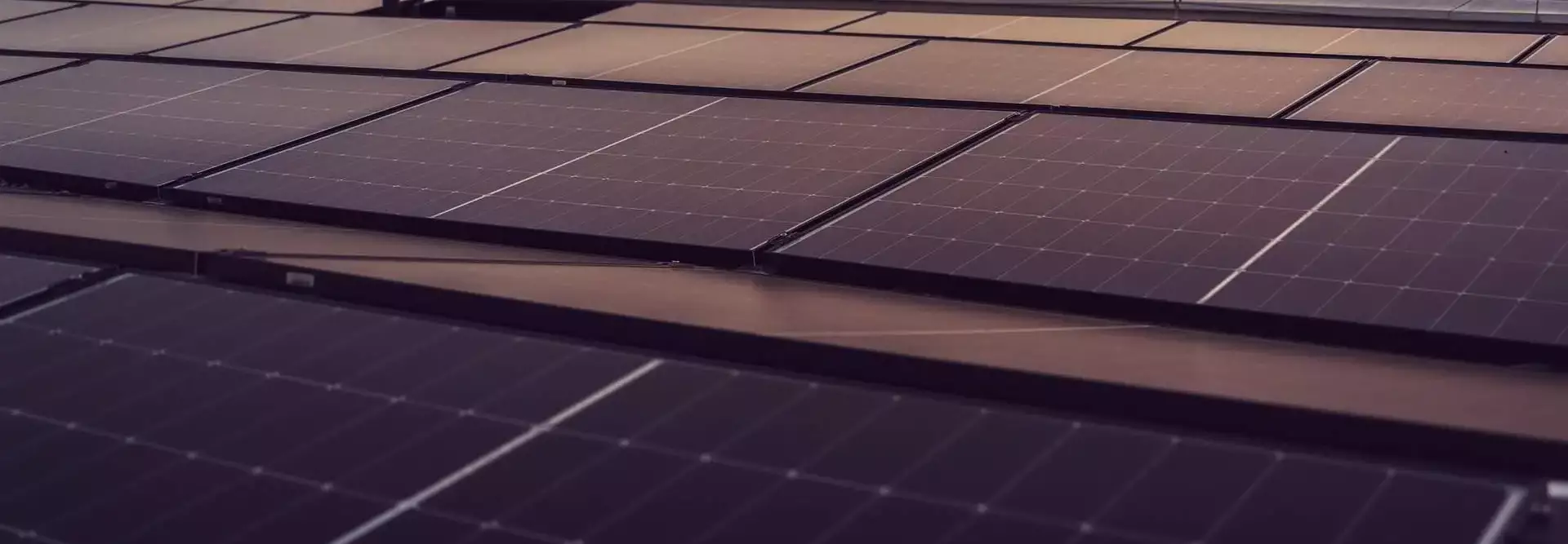 Preventivo fotovoltaico per aziende: cosa sapere