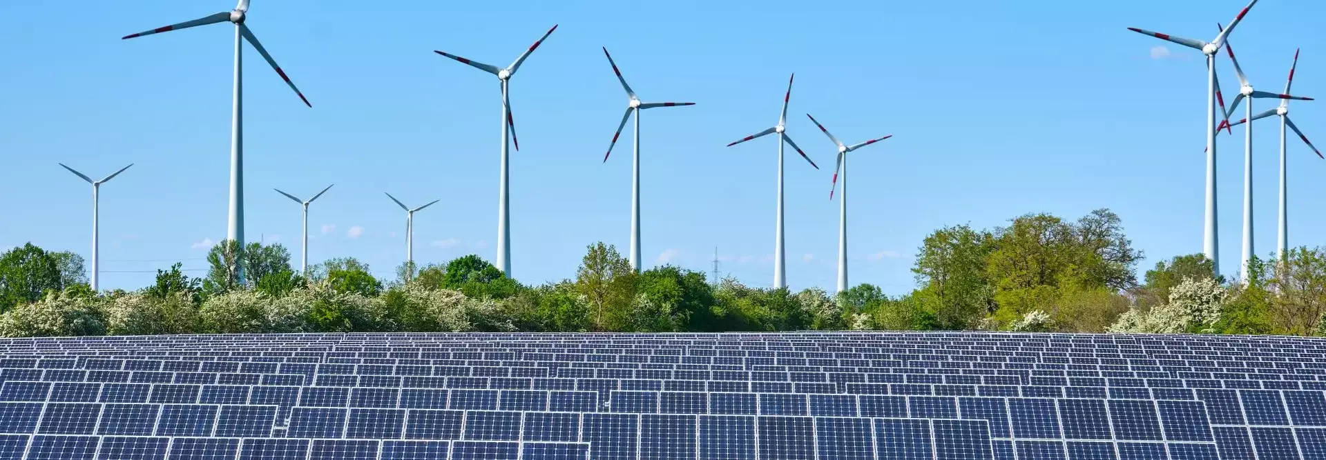 Guida energia rinnovabile aziende